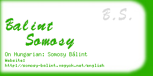 balint somosy business card
