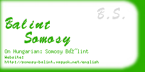 balint somosy business card